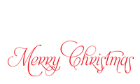 Create great holiday projects with a self-inking fancy calligraphy Merry Christmas holiday stamp. Choice of 11 ink colors & Free shipping on orders over $75!