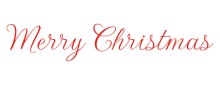 Merry Christmas Rubber Stamps. Holiday. Santa. Christmas trees. Santa. Stars, candy canes and more. Self Inking. Secure order online. RubberStampChamp.com Knockout Prices.