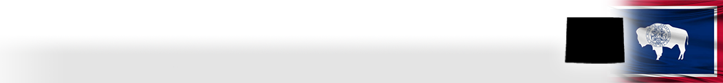When choosing custom made options that meet state requirements, you can't go wrong with our selection of Wyoming notary and professional stamps, seals and more.